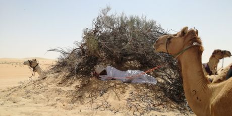 Rub al Khali - 6