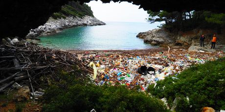 Akcija čišćenja plaže Grabova na otoku Mljetu (Foto: Udruga Zelene stope) - 3