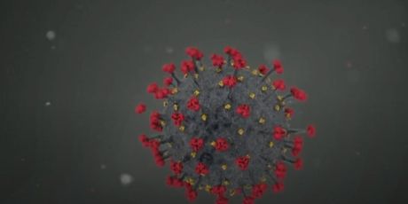 Animacija koronavirusa