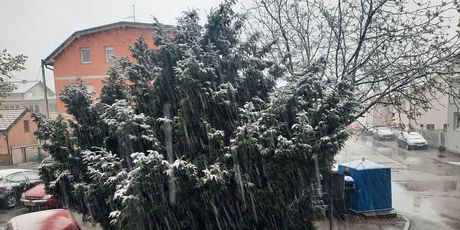 Snijeg u Zagrebu - 1