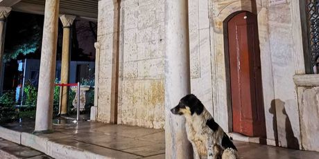 Lutalice u Istanbulu - 7