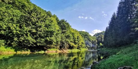 Krušnica