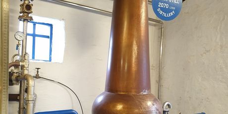 Škotski viski - 1