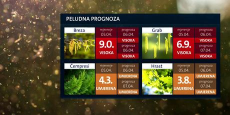 Peludna prognoza