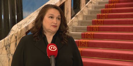 Renata Sabljar Dračevac, predsjednica saborskog Odbora za zdravstvo