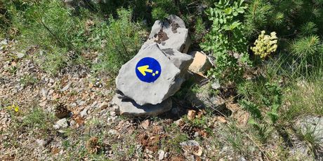 Camino Brač
