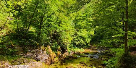 Gorski kotar - 3