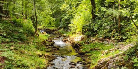 Gorski kotar - 4