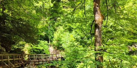 Gorski kotar - 5