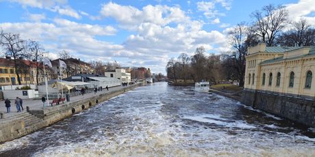 Slikano sa Vivo X90 Pro_2 - 5