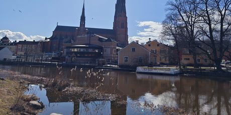 Slikano sa Vivo X90 Pro_2 - 8