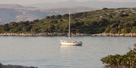 Sveti Grgur - 5