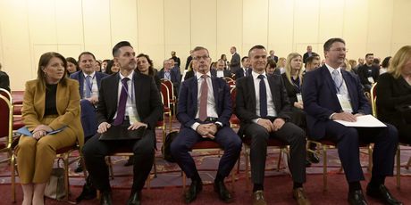 Konferencija Dan hrvatskih financijskih institucija - 15