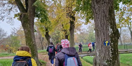 Camino Banovina - 22