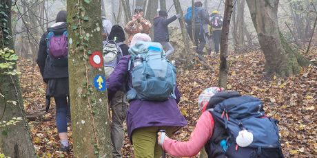 Camino Banovina - 23