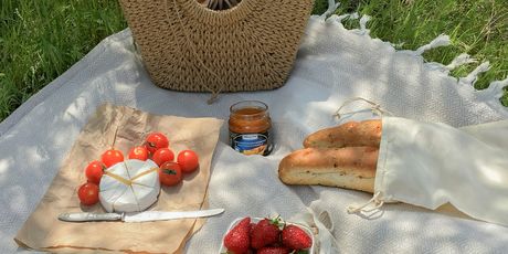 Organiziranje piknika