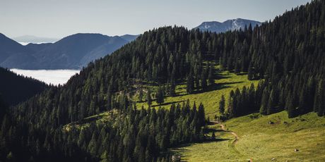 Put na Triglav - 4