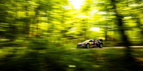 WRC Croatia Rally u Gorskom kotaru - 5