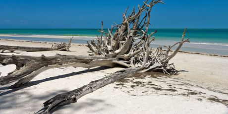Beer Can Island - 4
