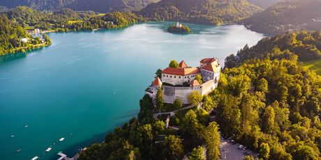 Bled - 1