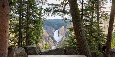 Yellowstone - 1