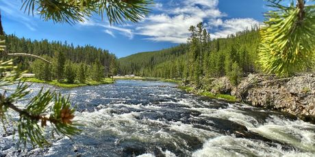 Yellowstone - 2