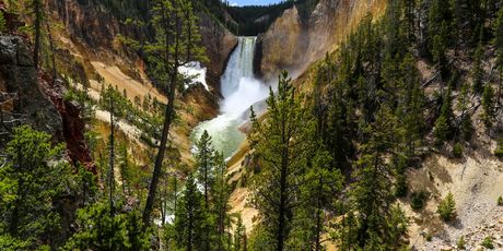 Yellowstone - 3