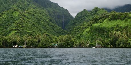 Mooreu i Tahiti - 36