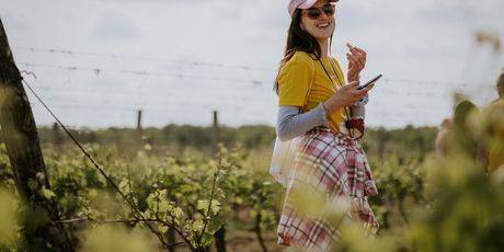 Ilok Wine&Walk 2025 - 8