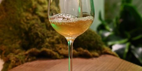 Sljubljivanje vina s hranom u zagrebačkoj Biomaniji