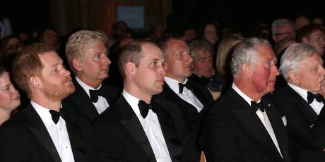 Princ Harry, princ William, kralj Charles