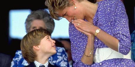 princeza Diana i princ William - 10