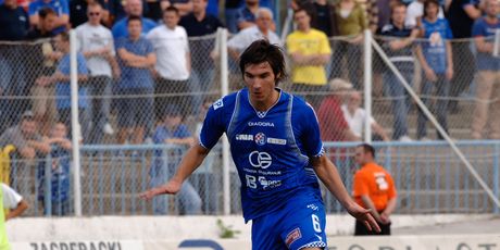 Nikola Pokrivač u dresu Dinama