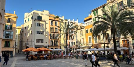 Palma de Mallorca - 20