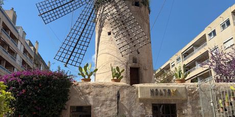 Palma de Mallorca - 22