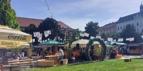Asian Street Food Festival - 1