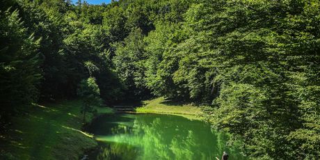 Šmitovo jezero - 2