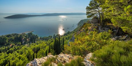 Marjan - 5