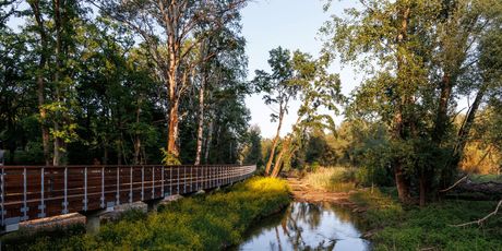 Park-Šuma Adica - 3
