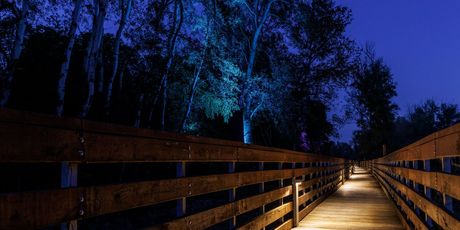 Park-Šuma Adica - 5