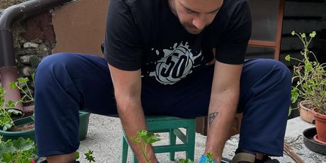 Ammar Mešić - 5
