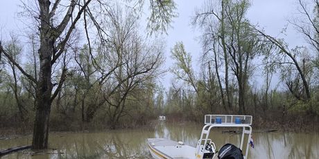 Spašavanje na rijeci Savi - 2