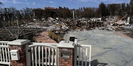 Cobie Smulders, Taran Killam - kuća