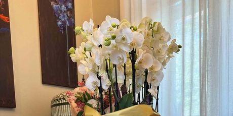 Sandra Bagarić na Instagramu