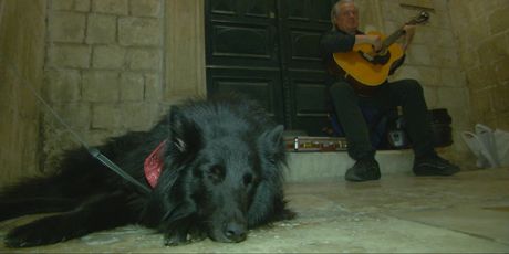 In Magazin: Ibrica Jusić - 4