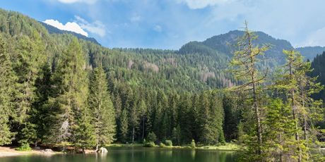 Lago dei Caprioli, Val di Sole