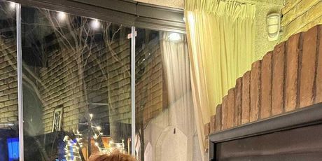 Vila Željka Joksimovića - 4