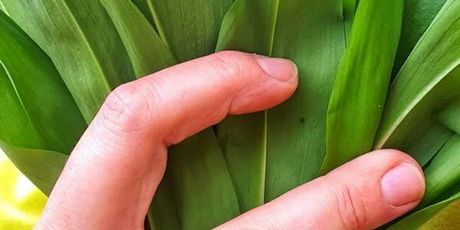 Dan medvjeđeg luka - 5