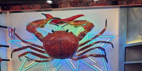 Maja Šuput i Šime Elez - 4