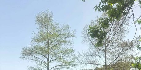 Maja Šuput i Šime Elez - 3